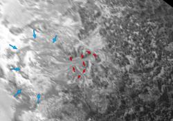 Intricate Valley Glaciers on Pluto: